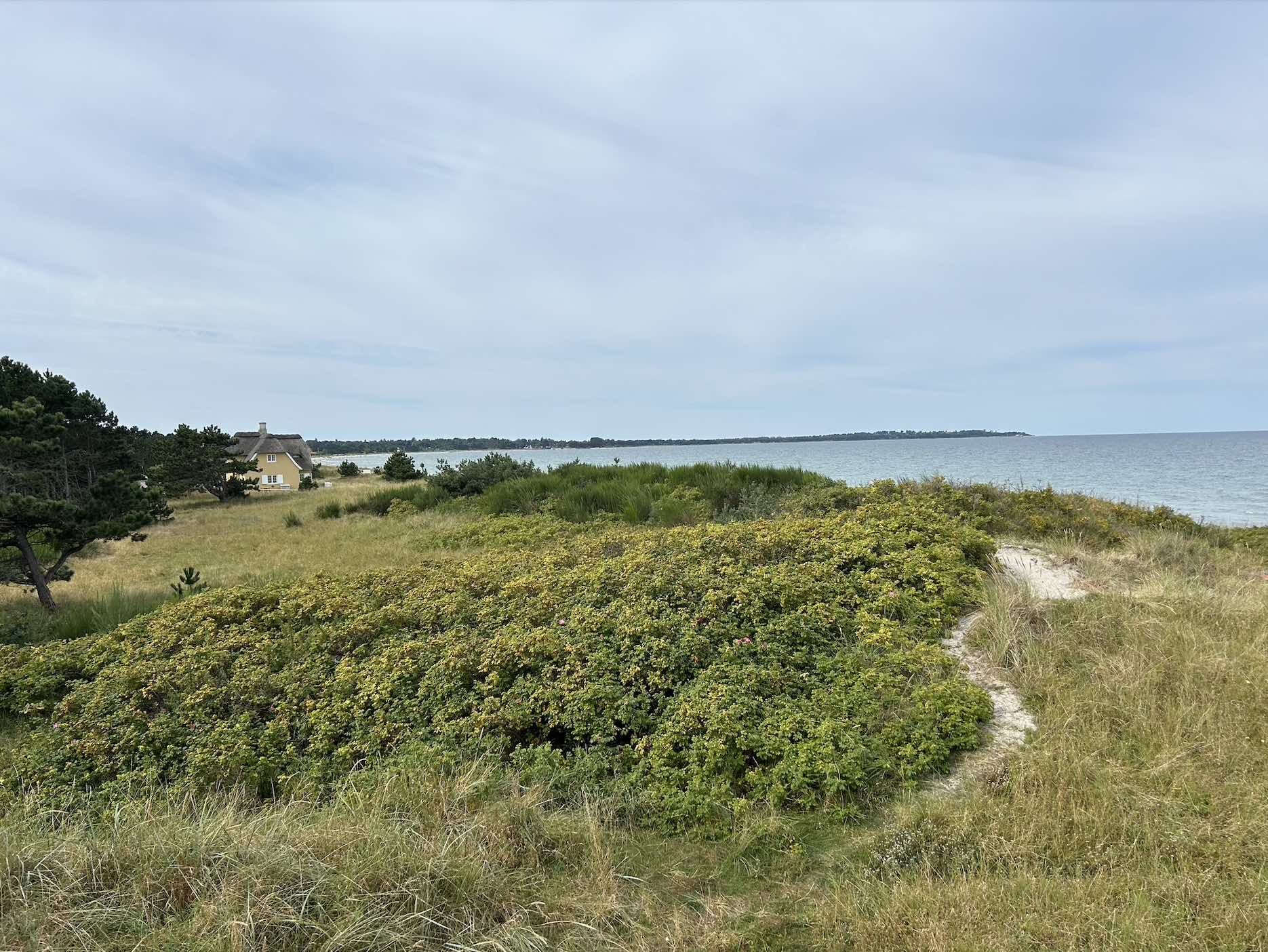 Nordstrand, klitter og Nordstrands Mums i nærheden